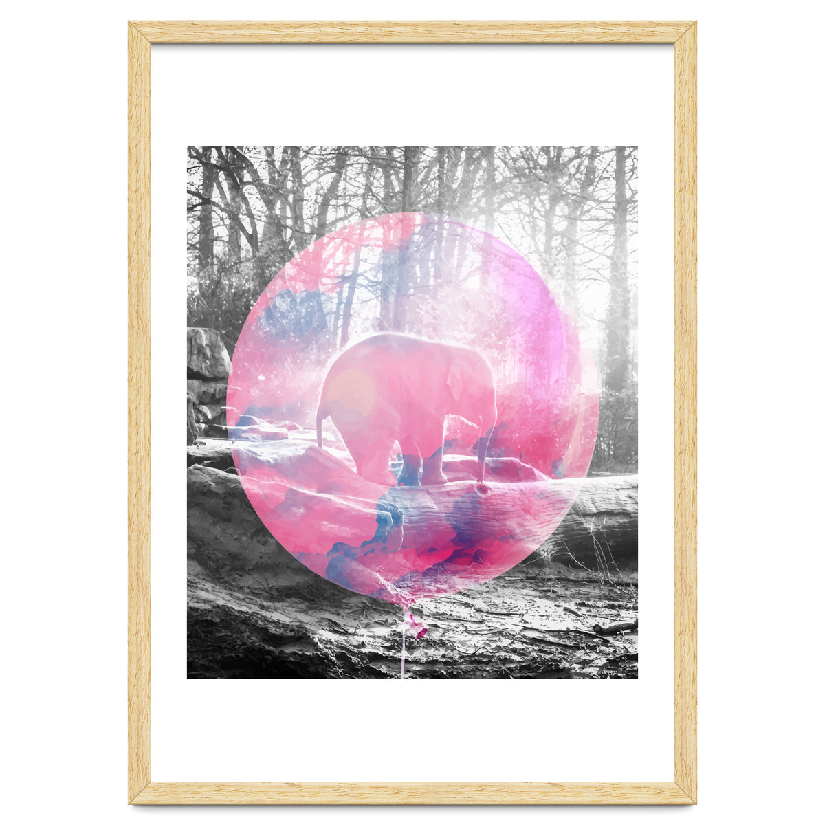 Baby Elephant In A Balloon