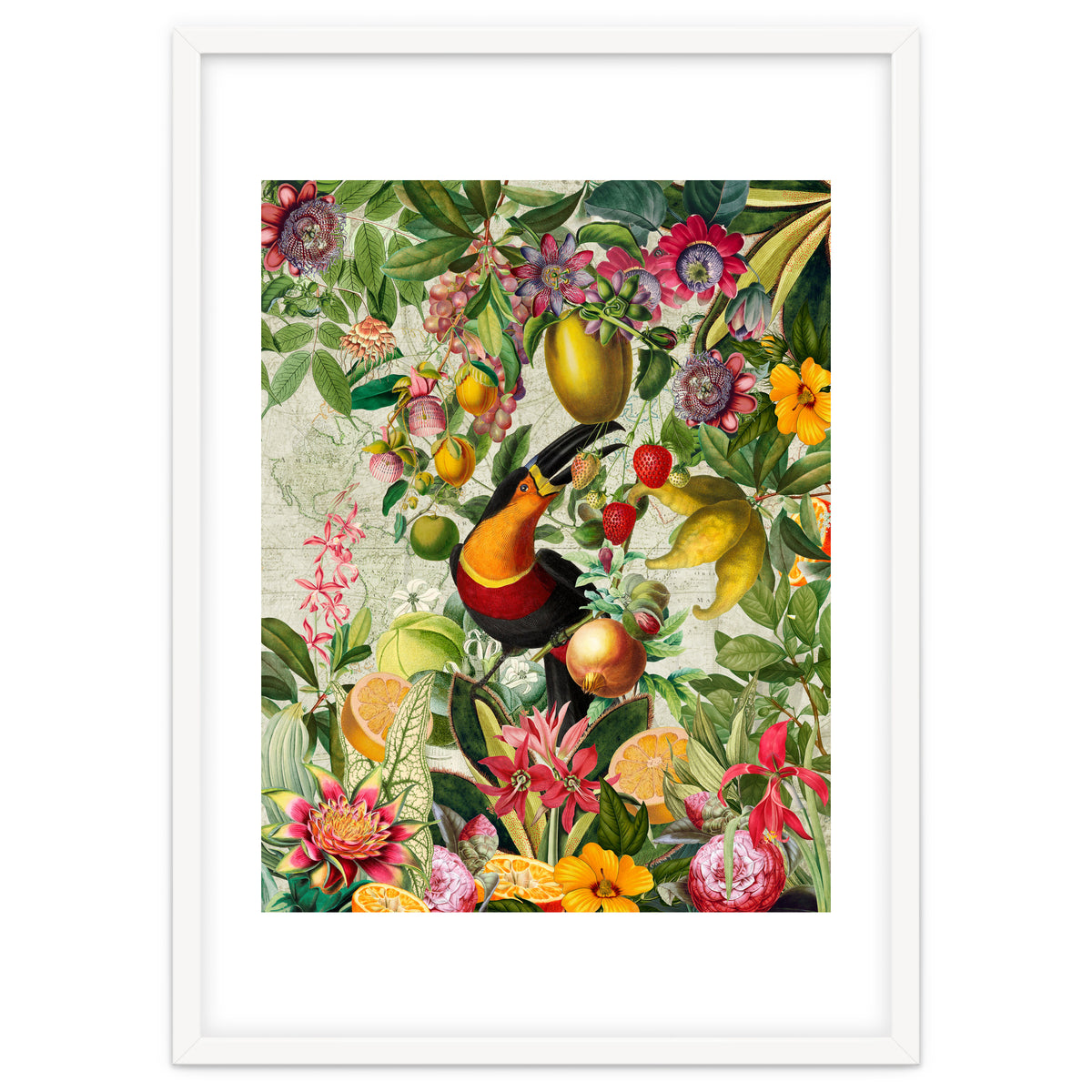 Toucan vintage jungle 1