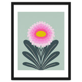 Chrysanthemum - turquoise and pink thumbnail