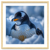 Gentoo Penguin In Its Natural Snowy Habitat thumbnail