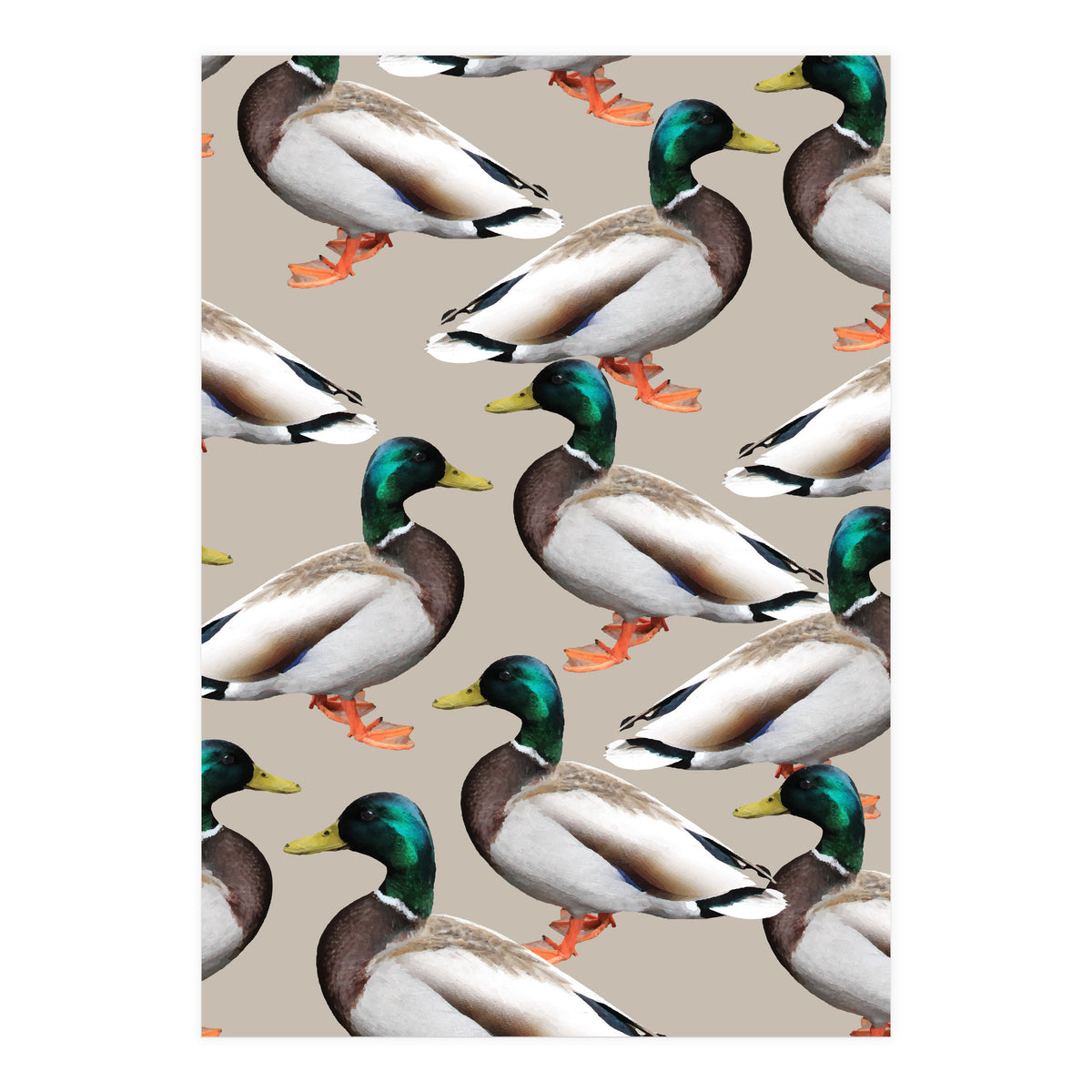 Mallards (Print Only)