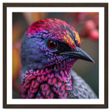 Vibrant Exotic Bird Detailed Feather Close Up thumbnail