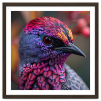 Vibrant Exotic Bird Detailed Feather Close Up