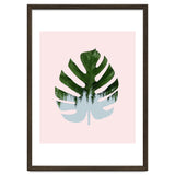 Monstera thumbnail