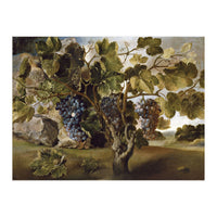 Tomás Hiepes / 'Landscape with a Grapevine', 17th century, Spanish School, Oil on canvas, 67 cm x... (Print Only)