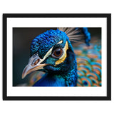 Close Up Of A Peacock Head And Eye thumbnail