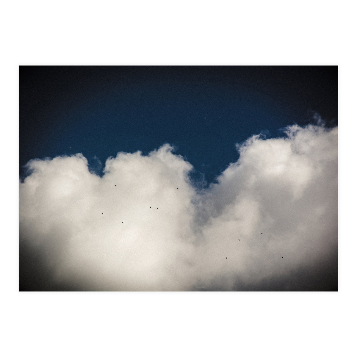 Balloons (Print Only)