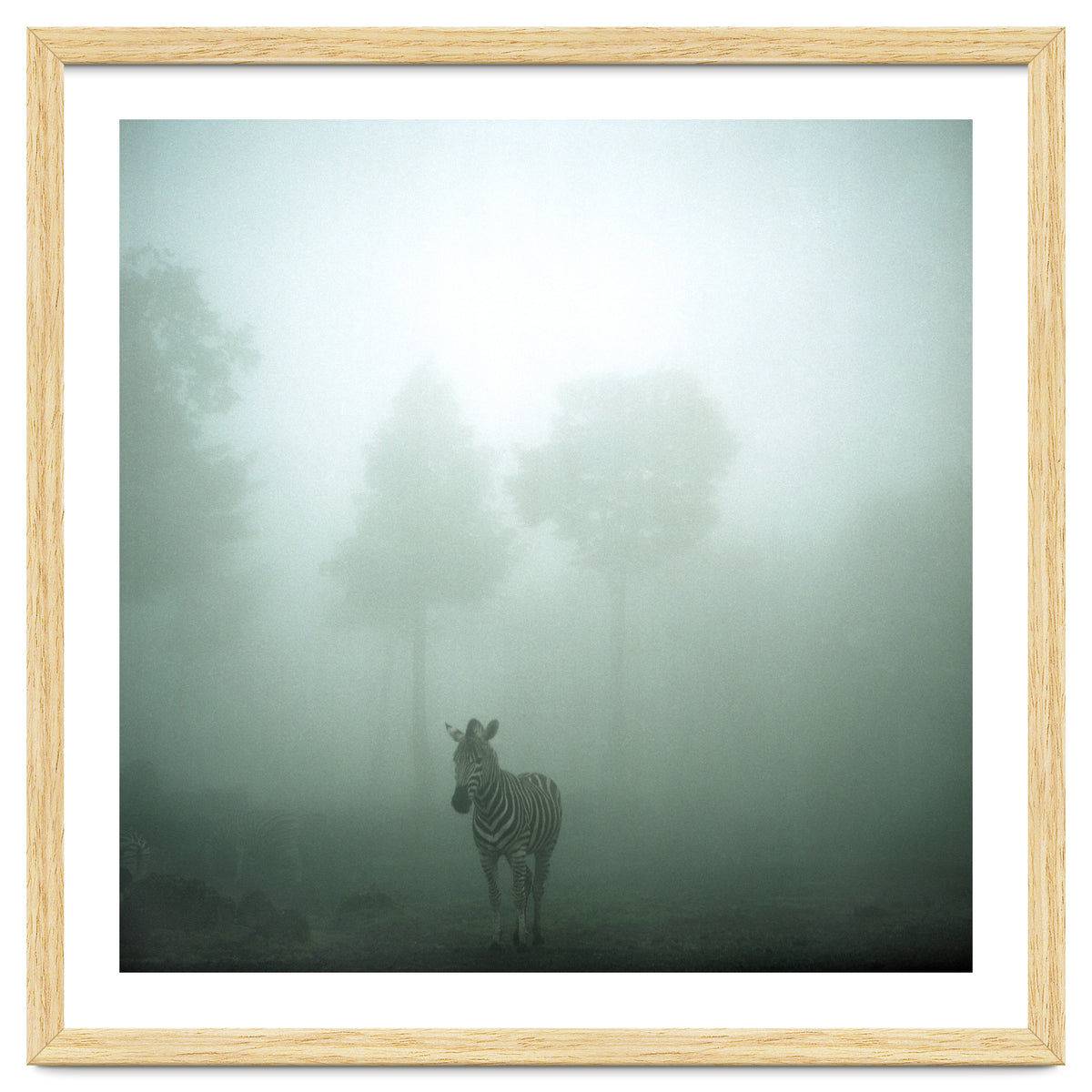 Silence of breath - 01