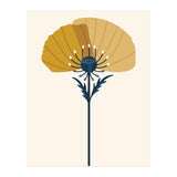 Ochre Half Poppy (Print Only) thumbnail