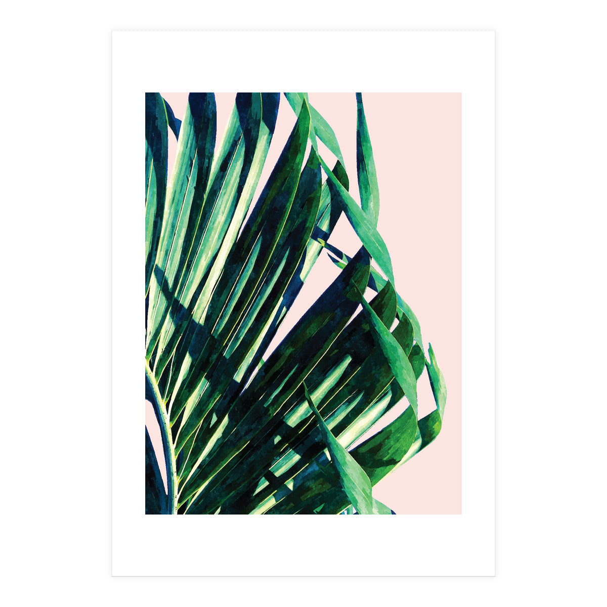 Palm V2 (Print Only)