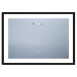 A flying seagull in the winter sky thumbnail