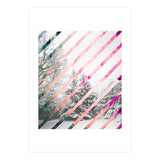 Snow Angel (Print Only) thumbnail