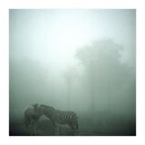 Silence of breath - 15 (Print Only) thumbnail