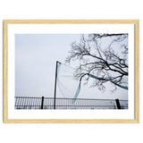 Net caught in a tree thumbnail