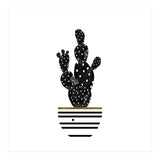 Black Cactus (Print Only) thumbnail