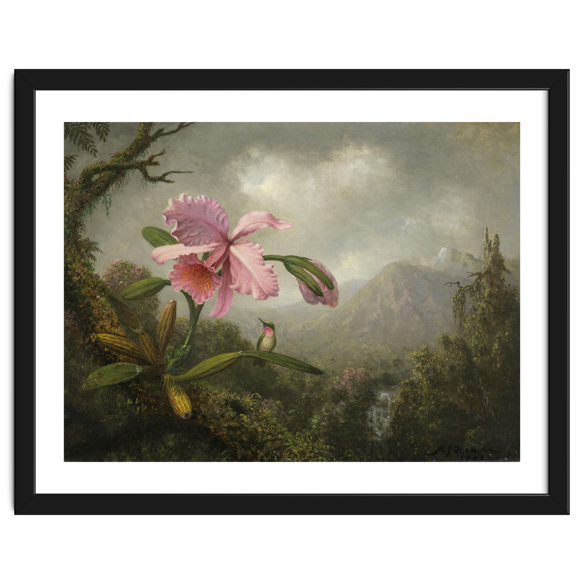 Martin Johnson Heade (Lumberville, 1819-St. Augustine, 1904). Orchid and Hummingbird near a Water...