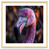 Close Up Of A Pink Flamingo Bird Face thumbnail