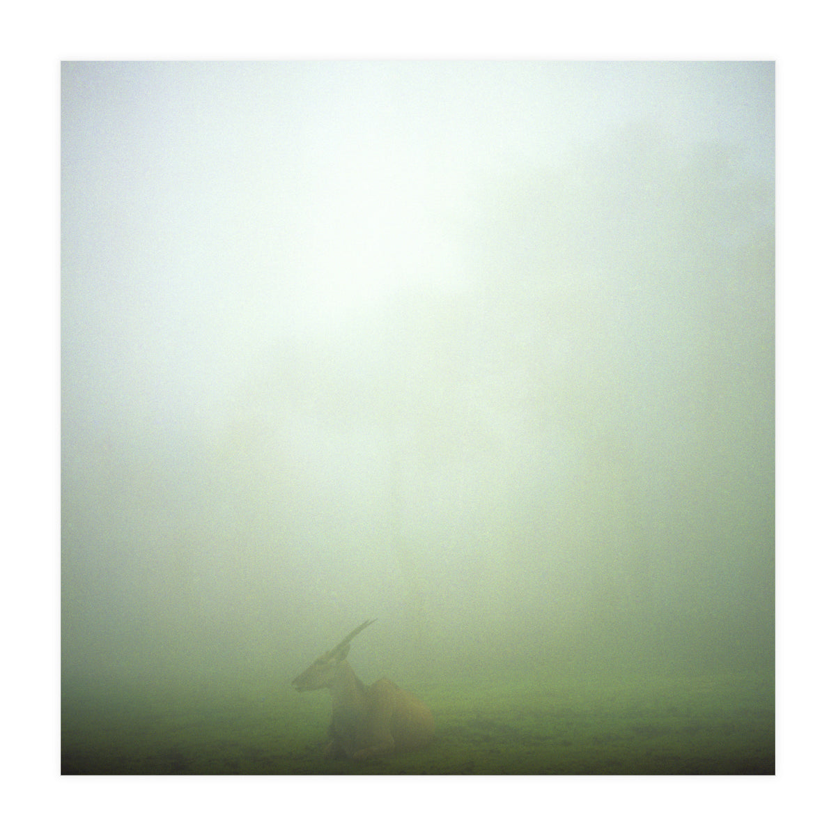 Silence of breath - 06 (Print Only)