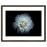 Backyard Flowers No 90 Color Version thumbnail