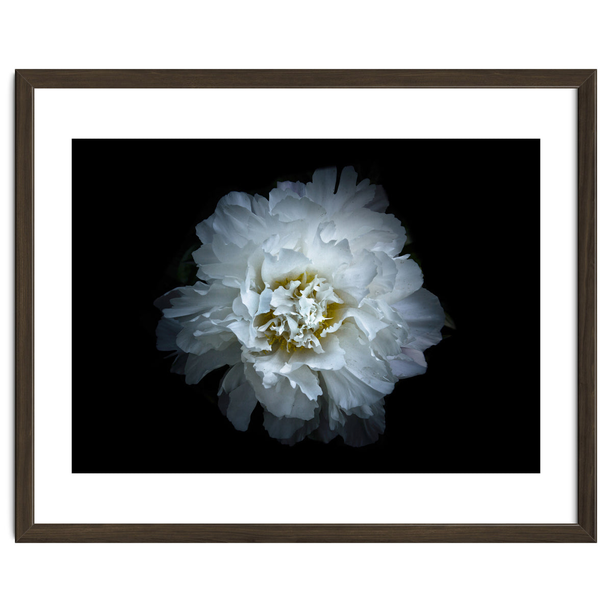 Backyard Flowers No 90 Color Version