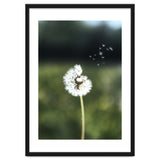Dandelion Wish Photography thumbnail