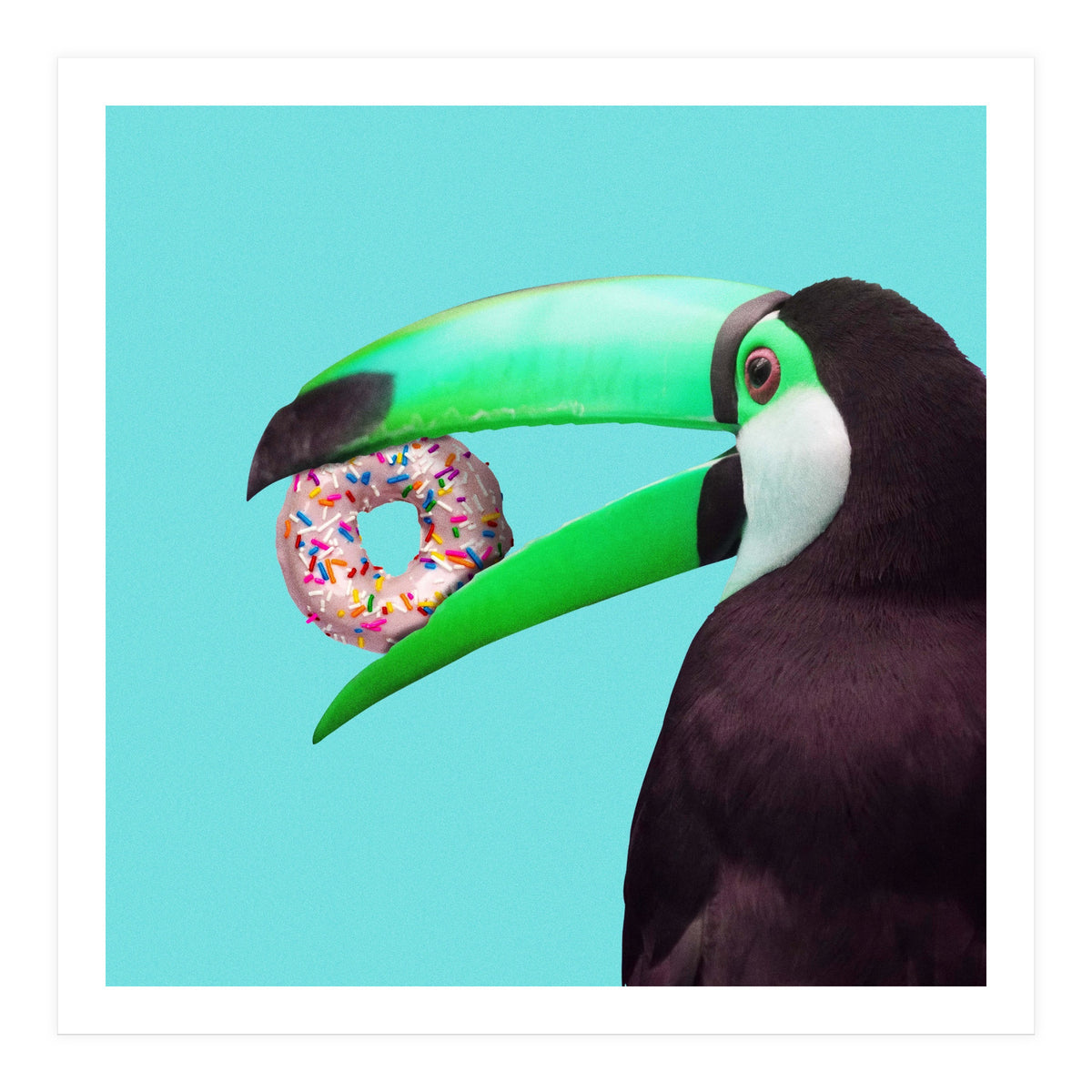 Sweet Toucan (Print Only)