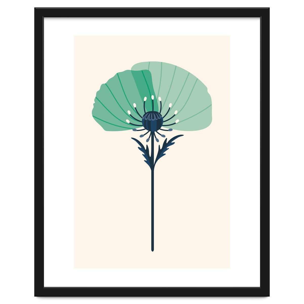 Teal Half Poppy