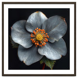 Hellebore | Silver Magic thumbnail