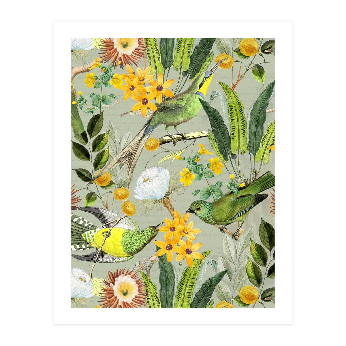 Tropical Birds in Exotic Jungle (Print Only)