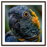 Close Up Of A Wet Macaw Parrot Head thumbnail