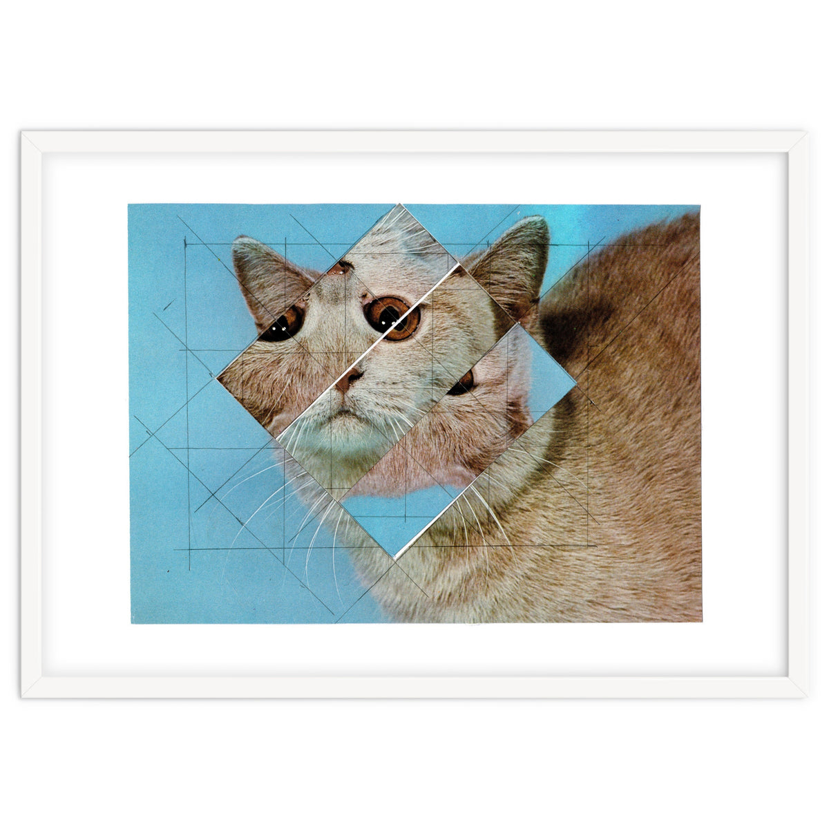 The Depressive Cat Am Abend Bekommt Den Blues