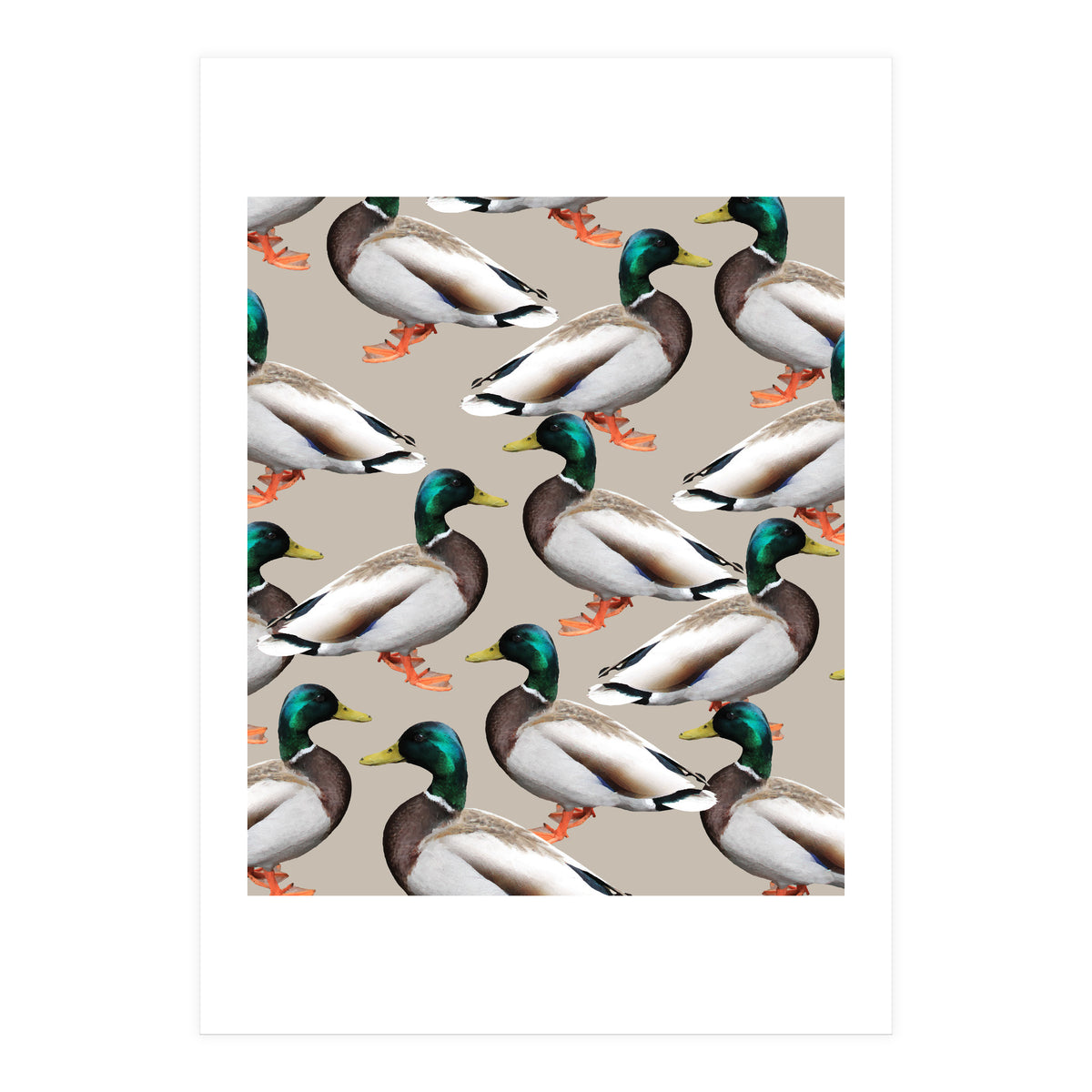 Mallards (Print Only)