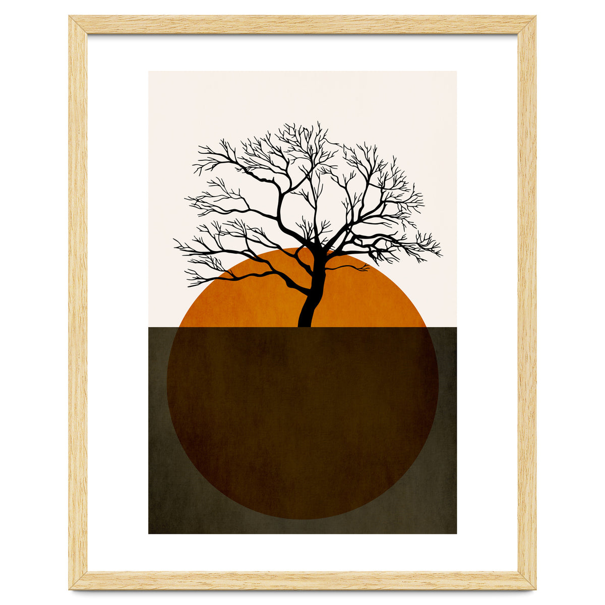 Sunny Days Of Silence