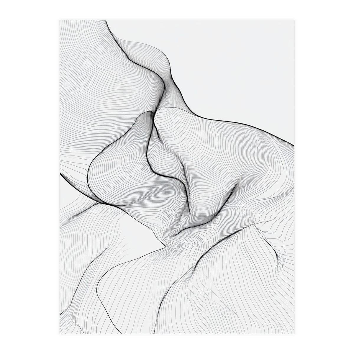 Abstract Black And White Flowing Lines Organic Form (Print Only)