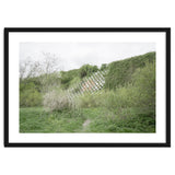 Green grass wall thumbnail
