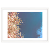 Leaves And Sky thumbnail