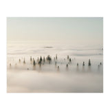 Misty Peaks: Pine Forest Above the Clouds (Print Only) thumbnail