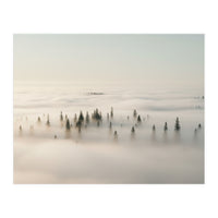Misty Peaks: Pine Forest Above the Clouds (Print Only)
