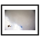 The Little Prince thumbnail
