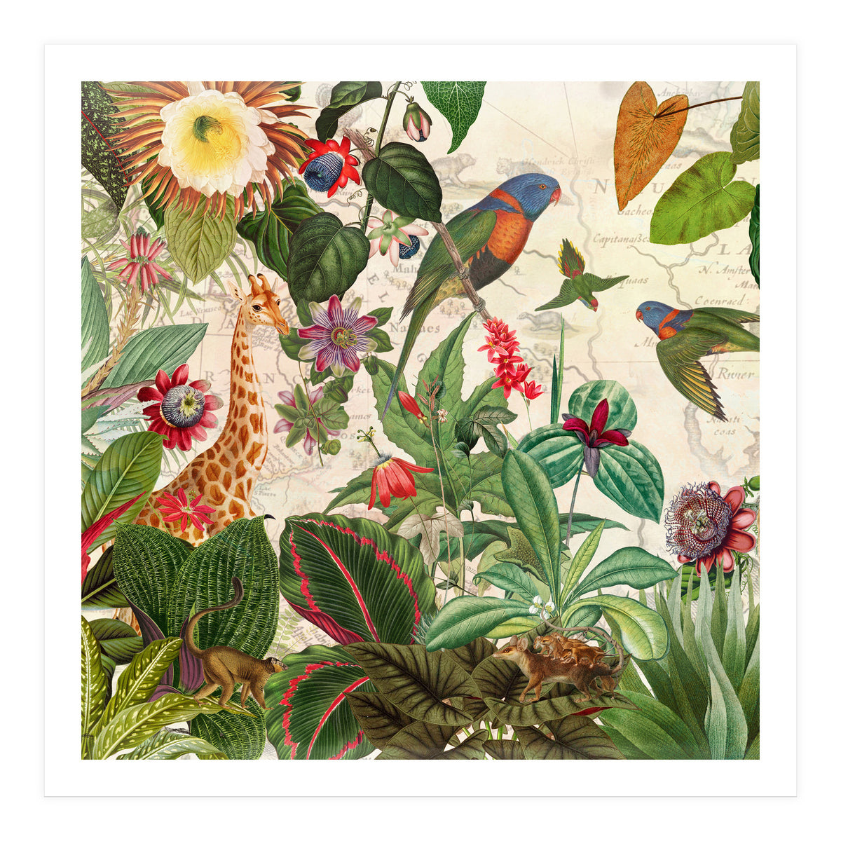 Exotic Lush Jungle And Wild Animals Landscape (Print Only)