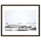 Blackbirds surrounding a frozen pond in winter thumbnail