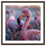 Close Up Of A Pink Flamingo Bird In Natural Light thumbnail