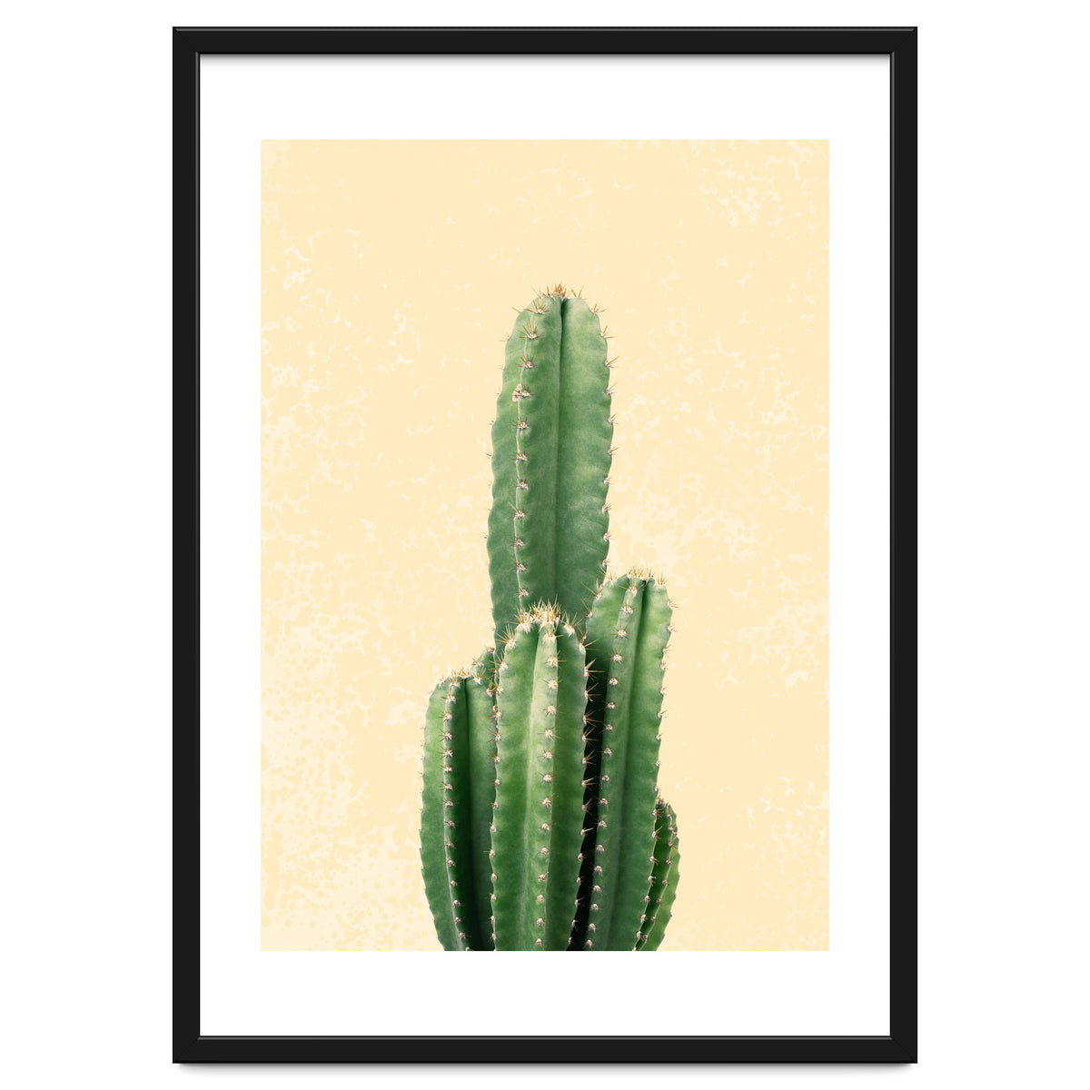 Tall Cactus, Minimal Desert Saguaro Art