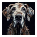 Old Dog 04 (Print Only) thumbnail