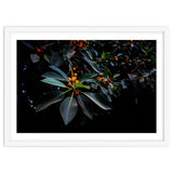 Orange, Green and Dark thumbnail