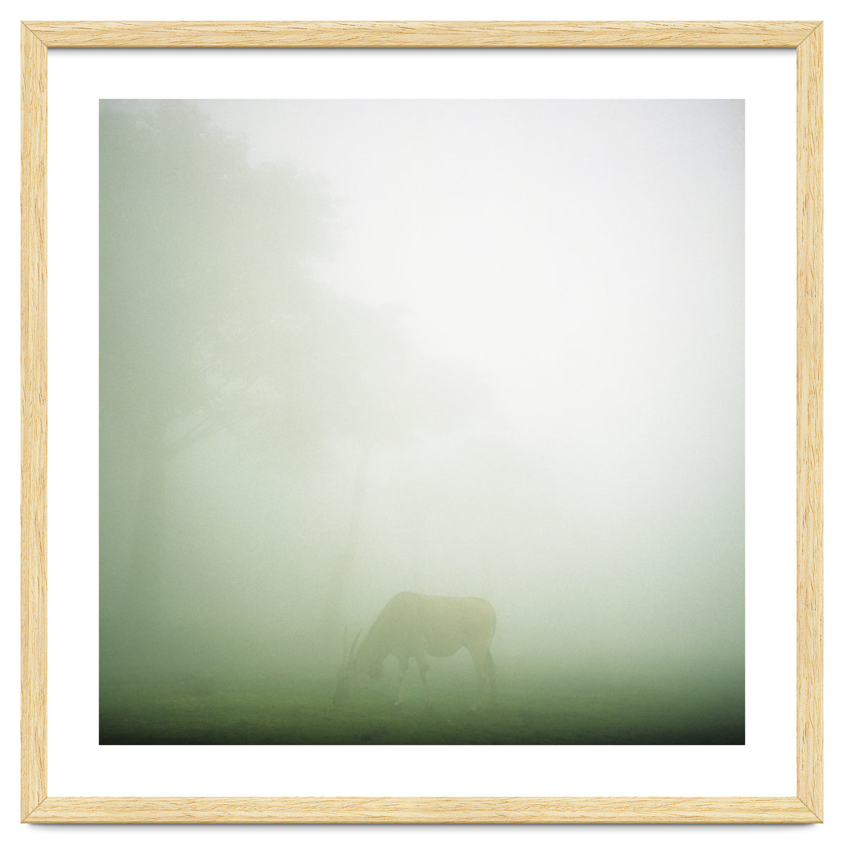 Silence of breath - 09