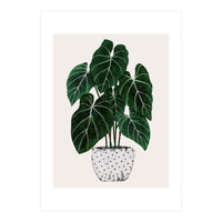 Philodendron Plant (Print Only)