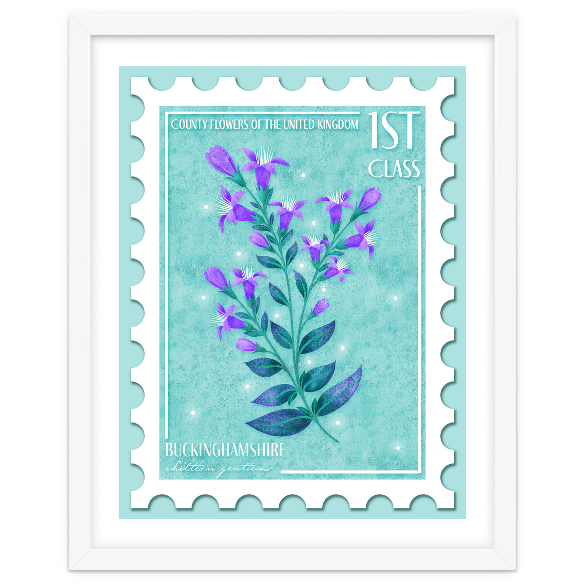 The Buckinghamshire Chiltern Gentian Postage Stamp