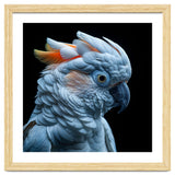 Close Up Of A Cockatoo Parrot Head thumbnail