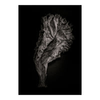 Leaves No 9 (Print Only)